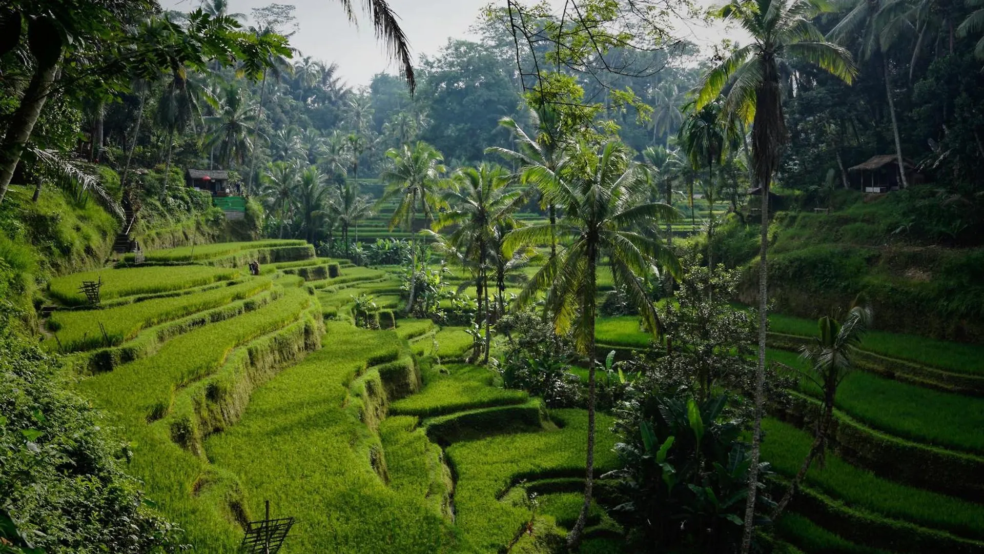 Villa Oia Ubud